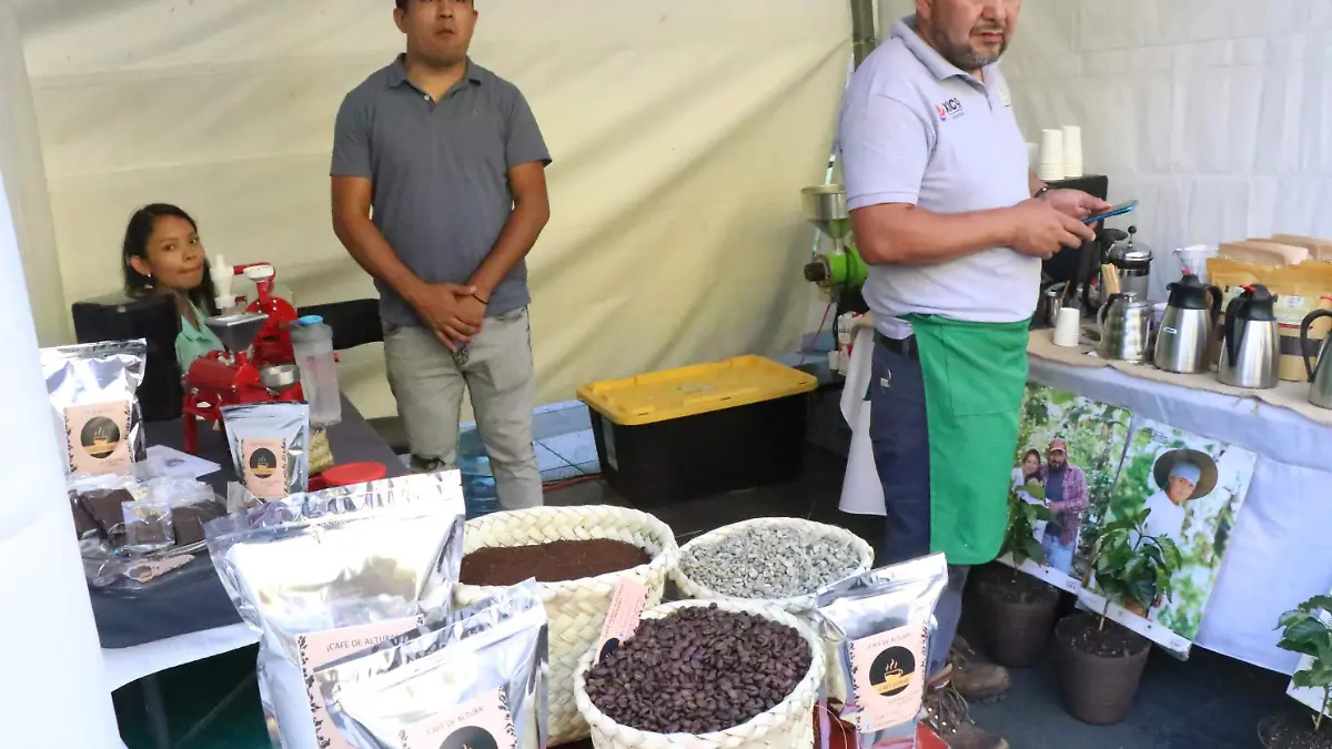 Festival del Café Xalapa 2025