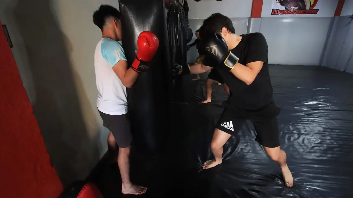 Artes Marciales Mixtas