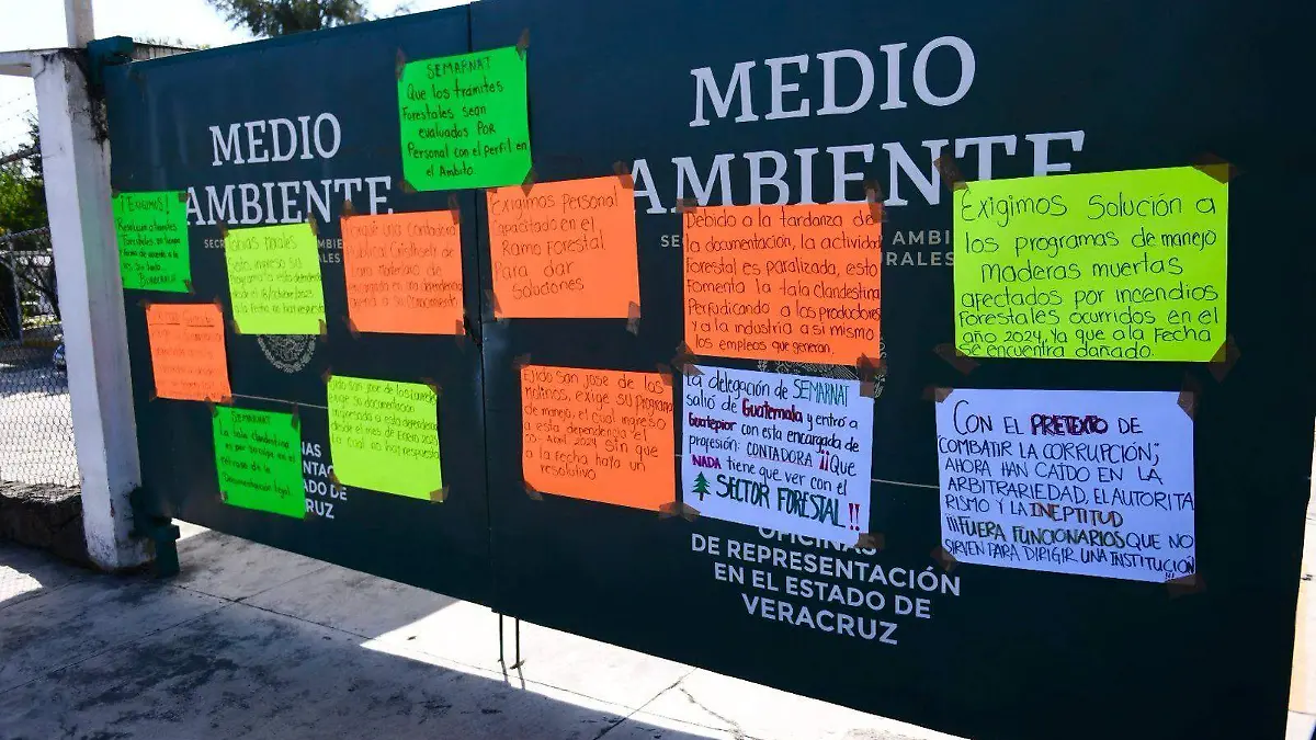 Protesta de productores forestales en la Semarnat