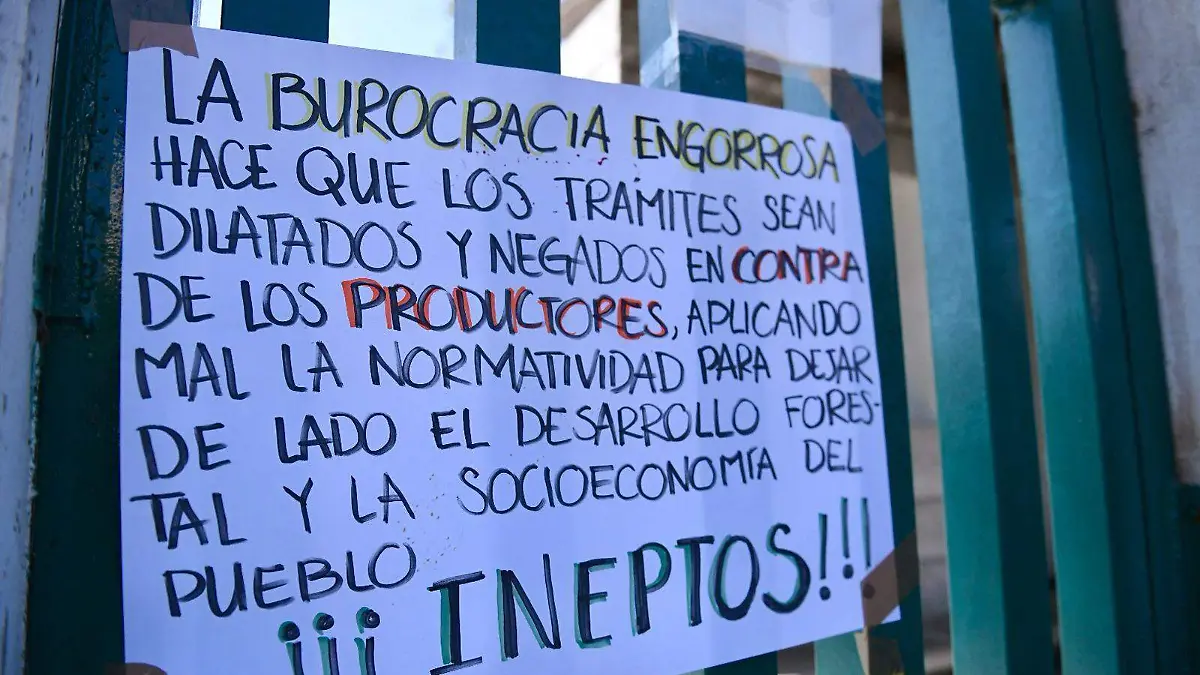 Semarnat protesta de productores forestales