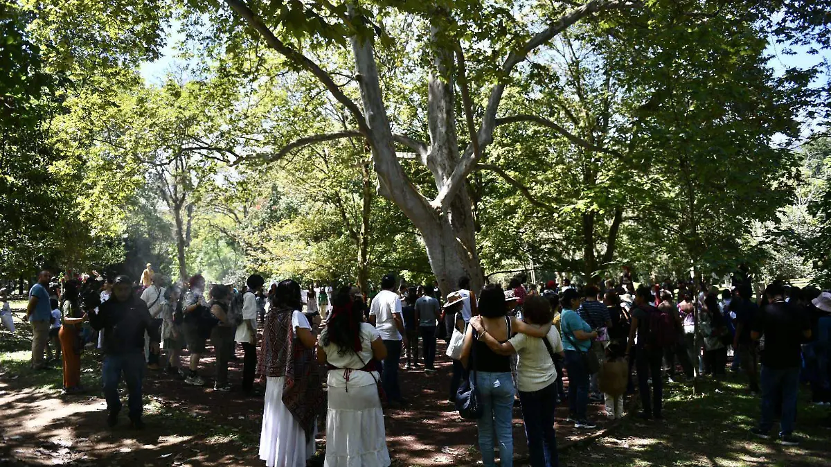 Festival Mixtli 2025