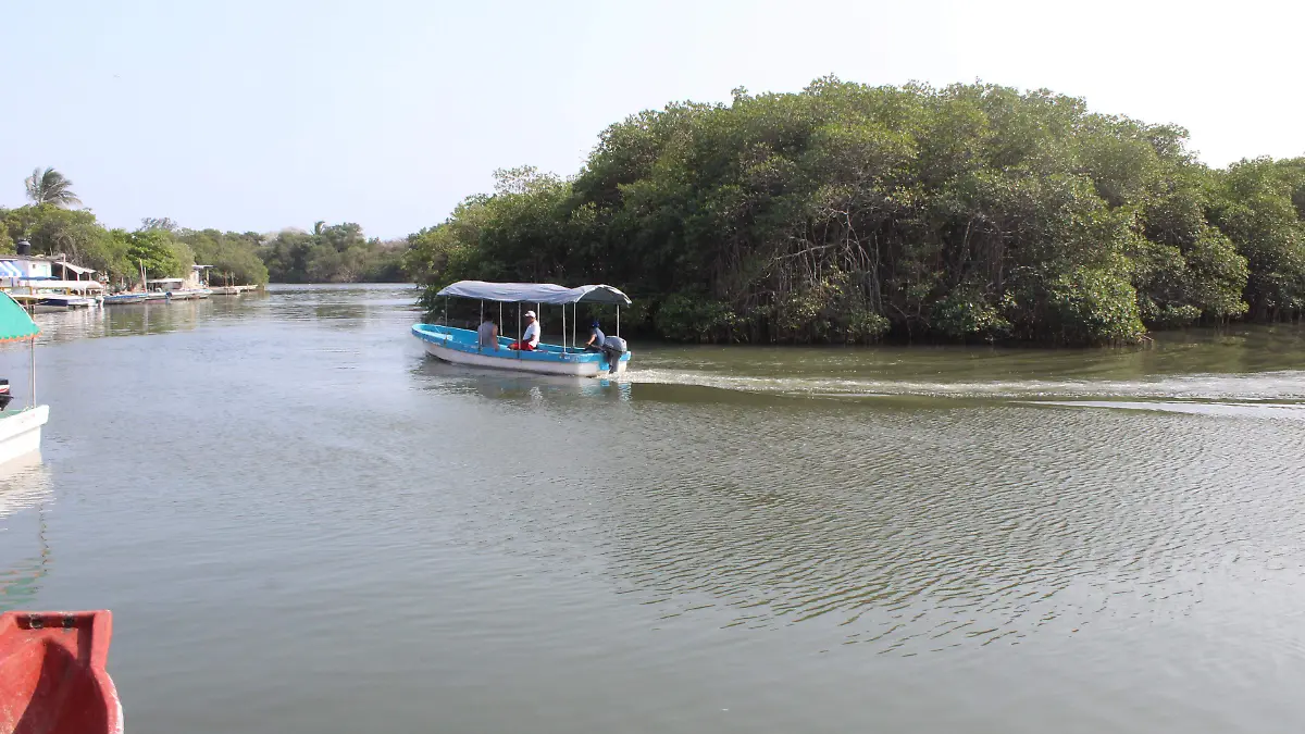 Recorrido por la laguna de Mandinga en lancha