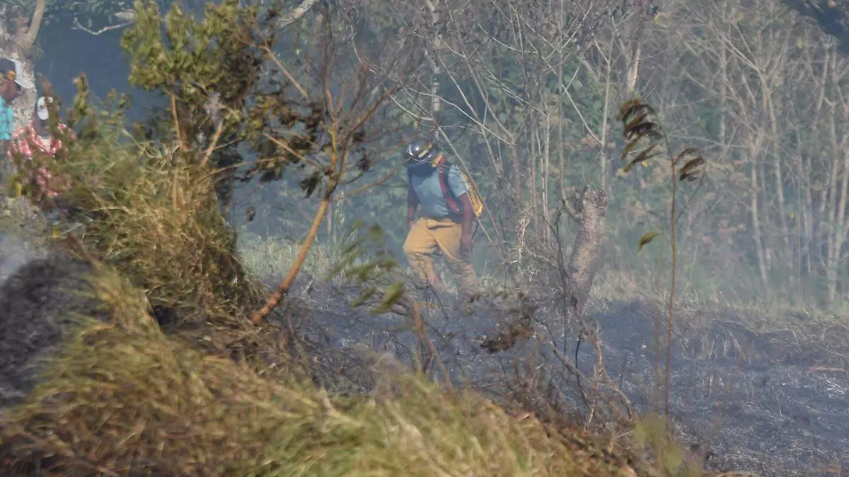 Incendio en colonia Ejidal y Cerro del Estropajo