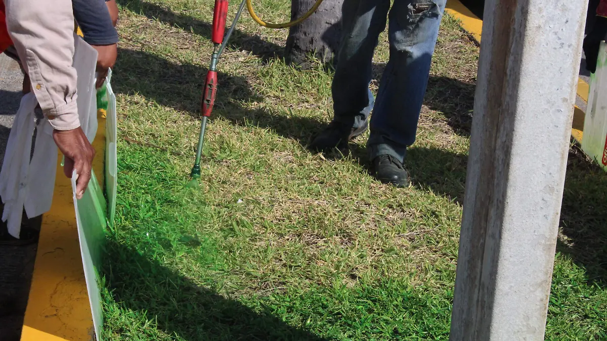 Se está aplicando un fertilizante a los camellones que ahorrará miles de litros al año
