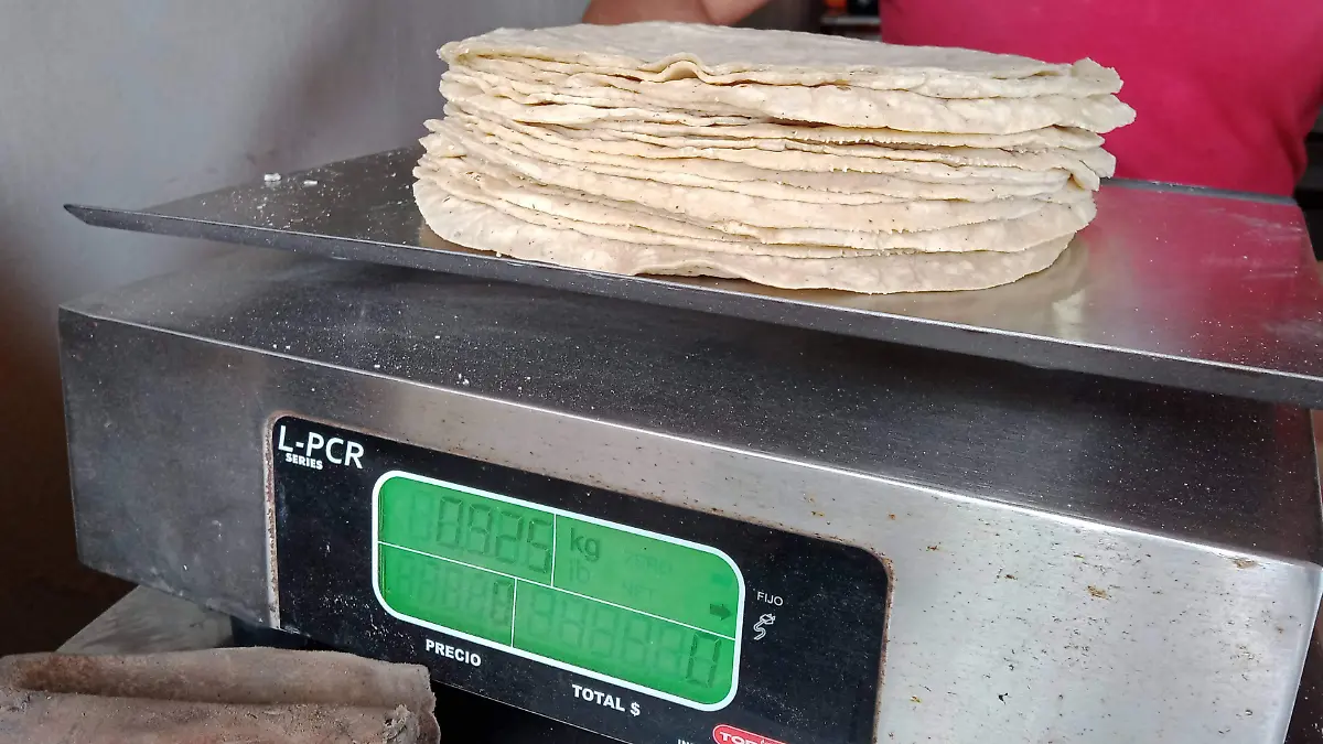 Tortillerias en Veracruz