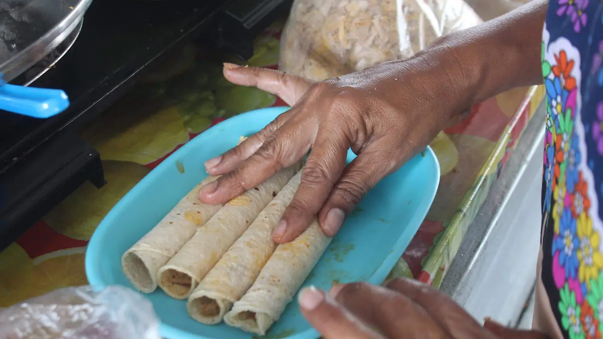 Tortillerias en Veracruz