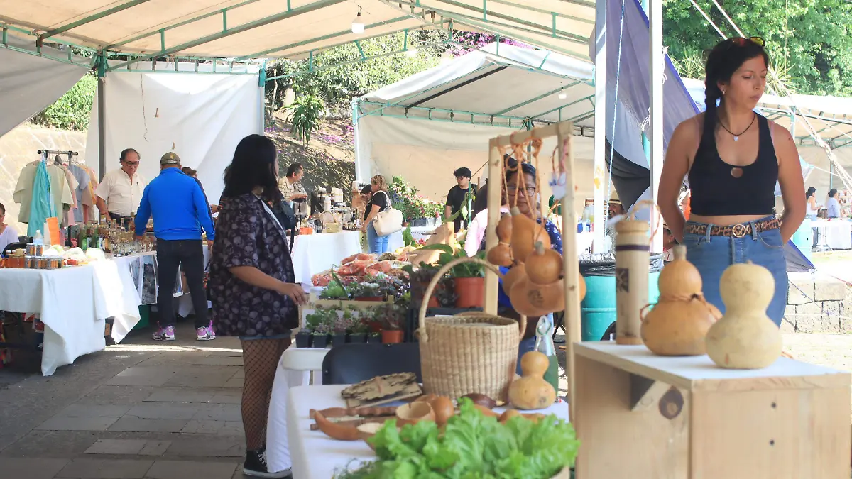 Los Lagos Tianguis (2)