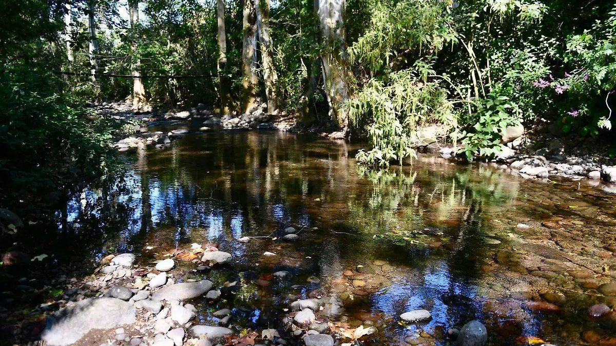 Haya a orilla del río Pixquiac