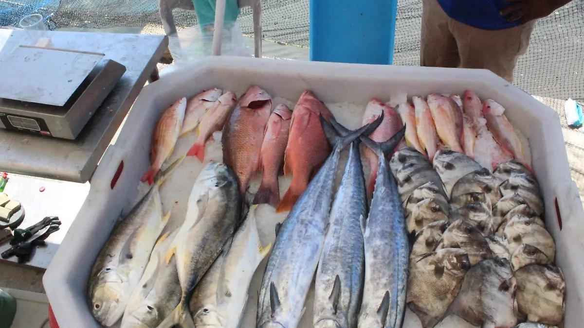 Pescadores de Veracruz