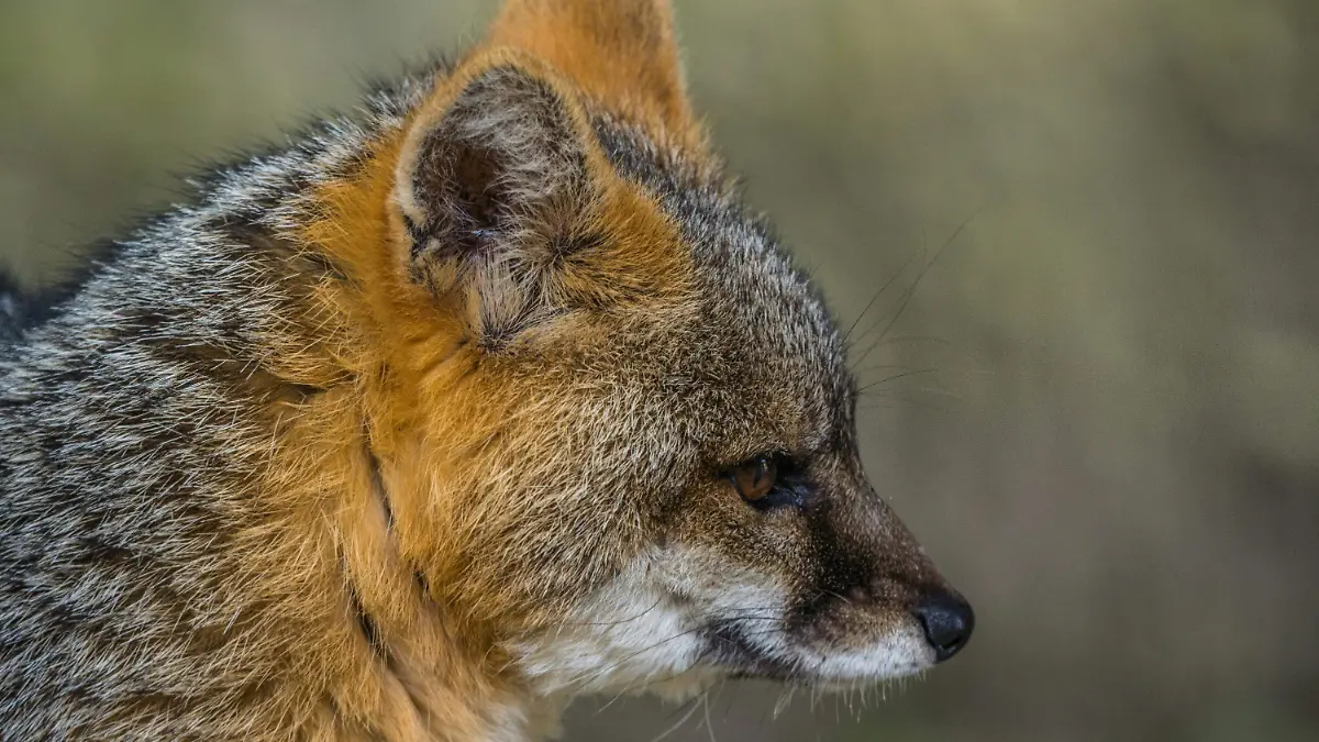 pexels-juan-felipe-ramirez-312591454-18182999