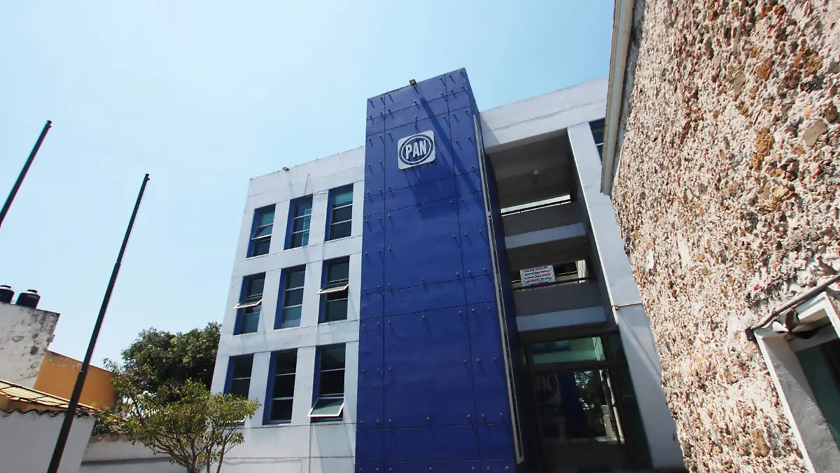 PAN-Veracruz-Xalapa-Ricardo01 (2)