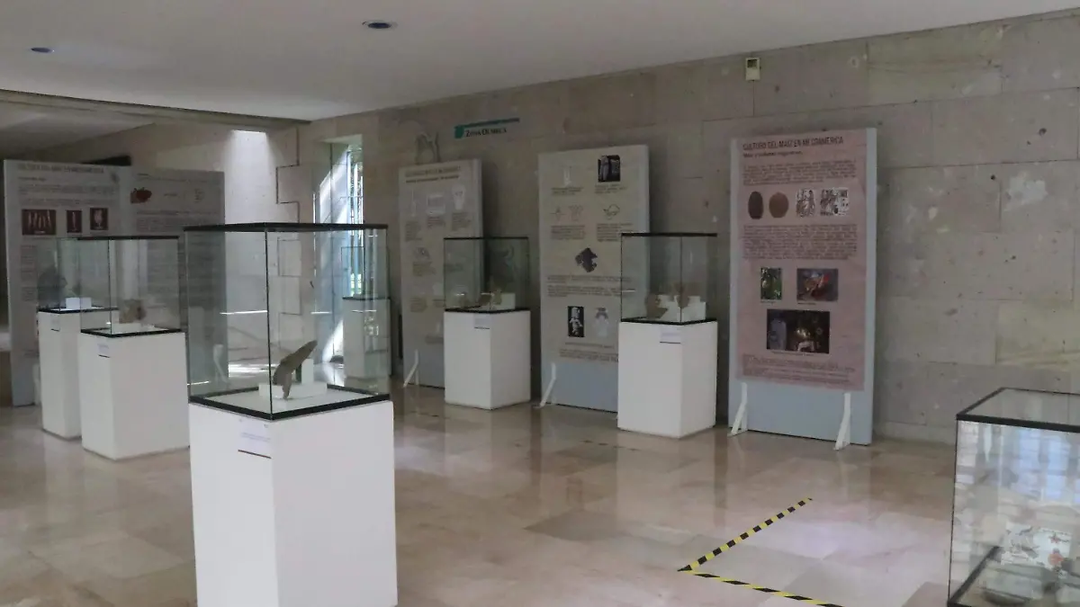 david- Museo de Antropología 974