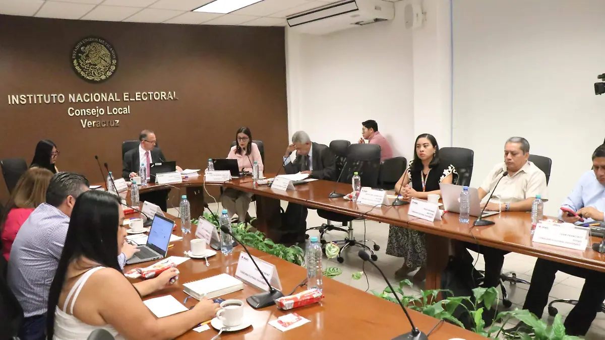 david- Consejo Local INE81