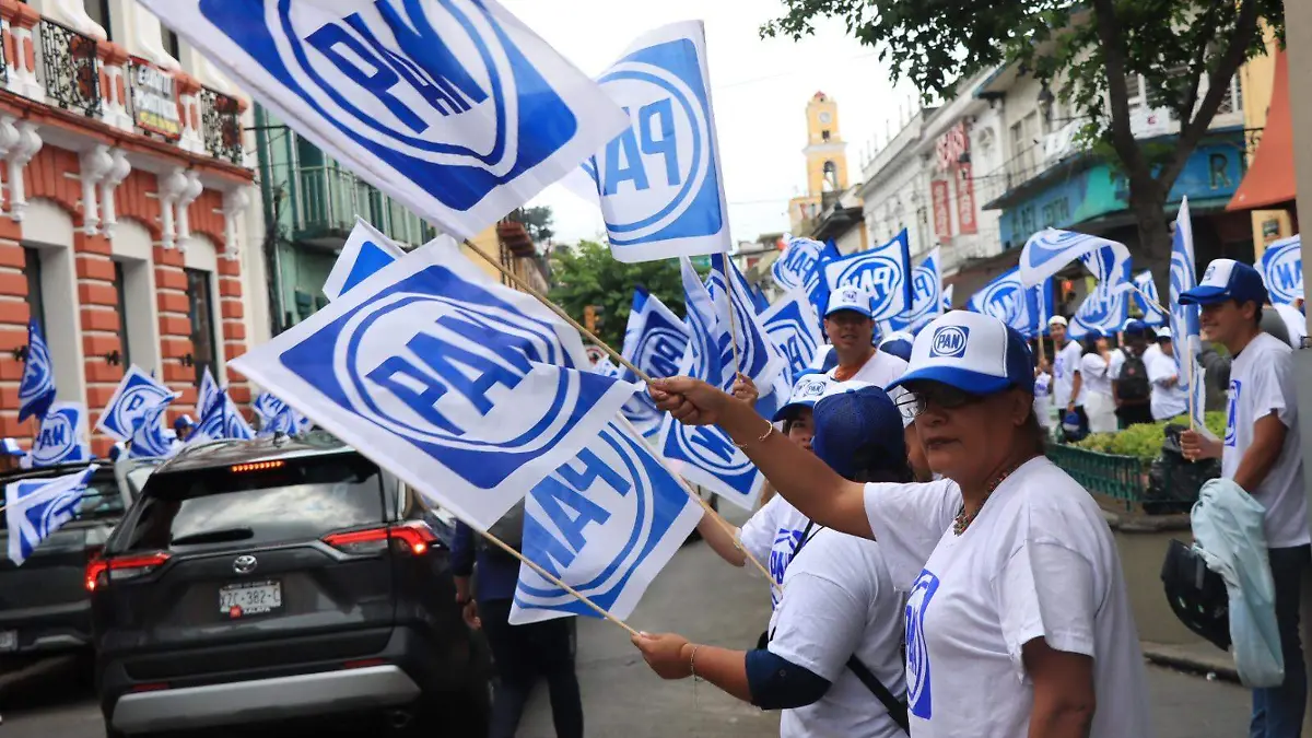 Simpatizantes del PAN