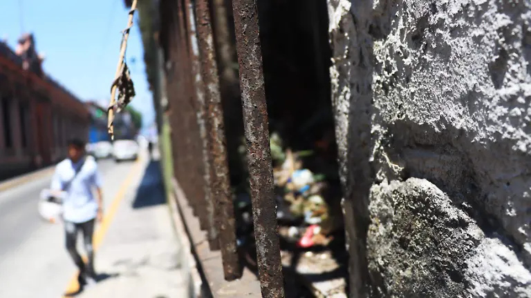 Viviendas abandonadas (28)