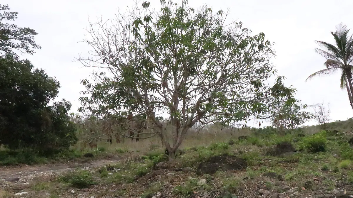 Problematica Ambiental 