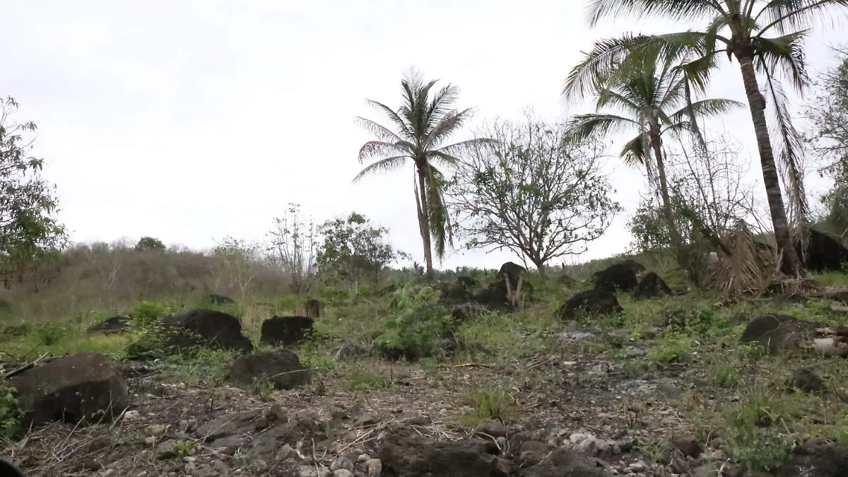 david- Problemática Ambiental