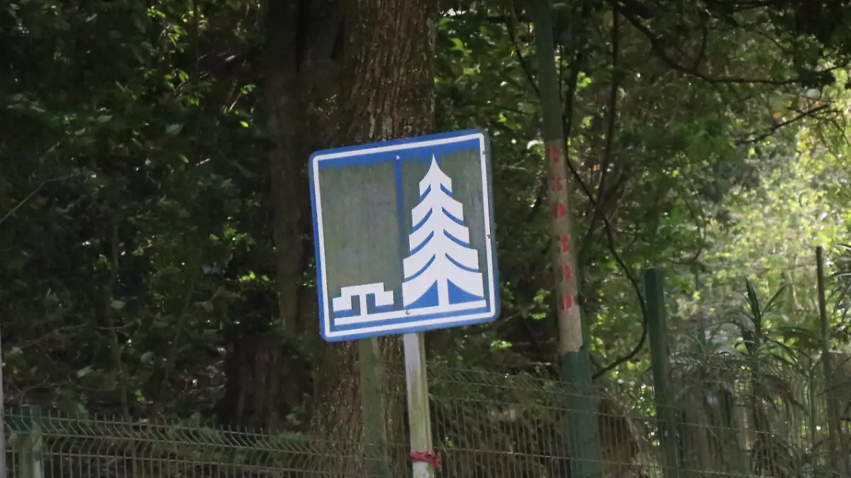 david- Problemática  Ambiental 8