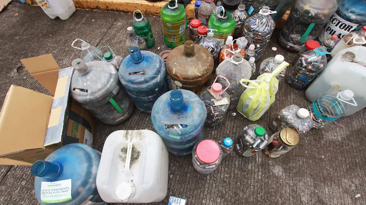 reciclaton basura carton (77)