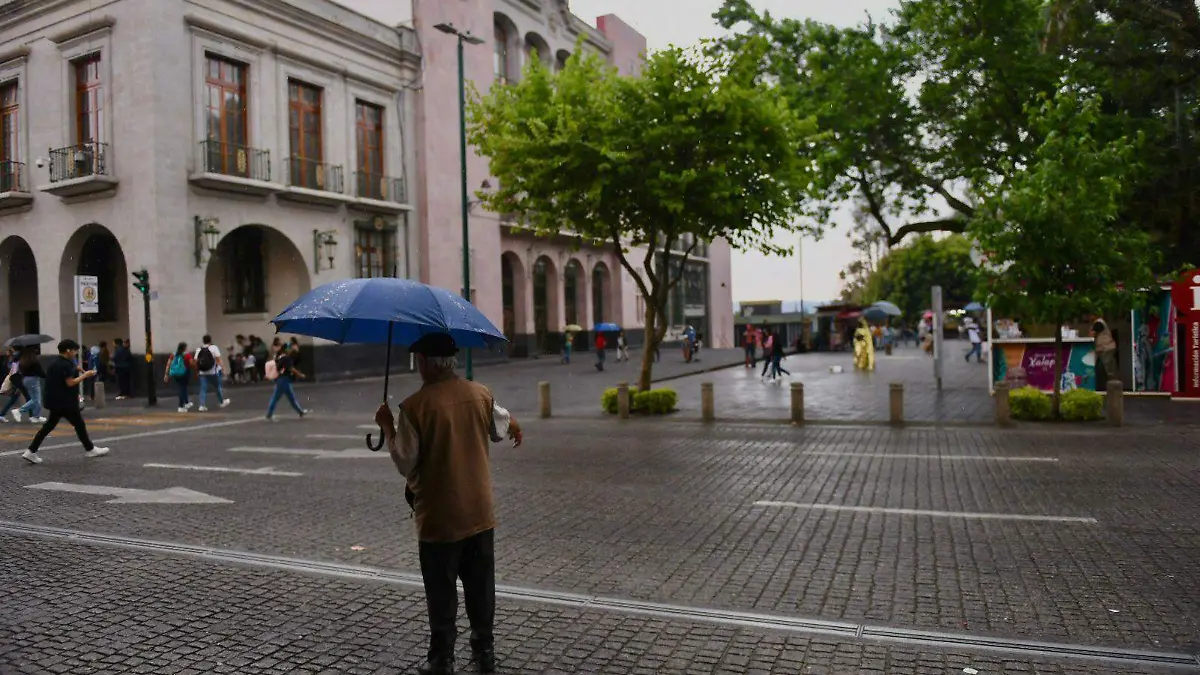 WhatsApp Image 2025-05-09 at 08.51.22