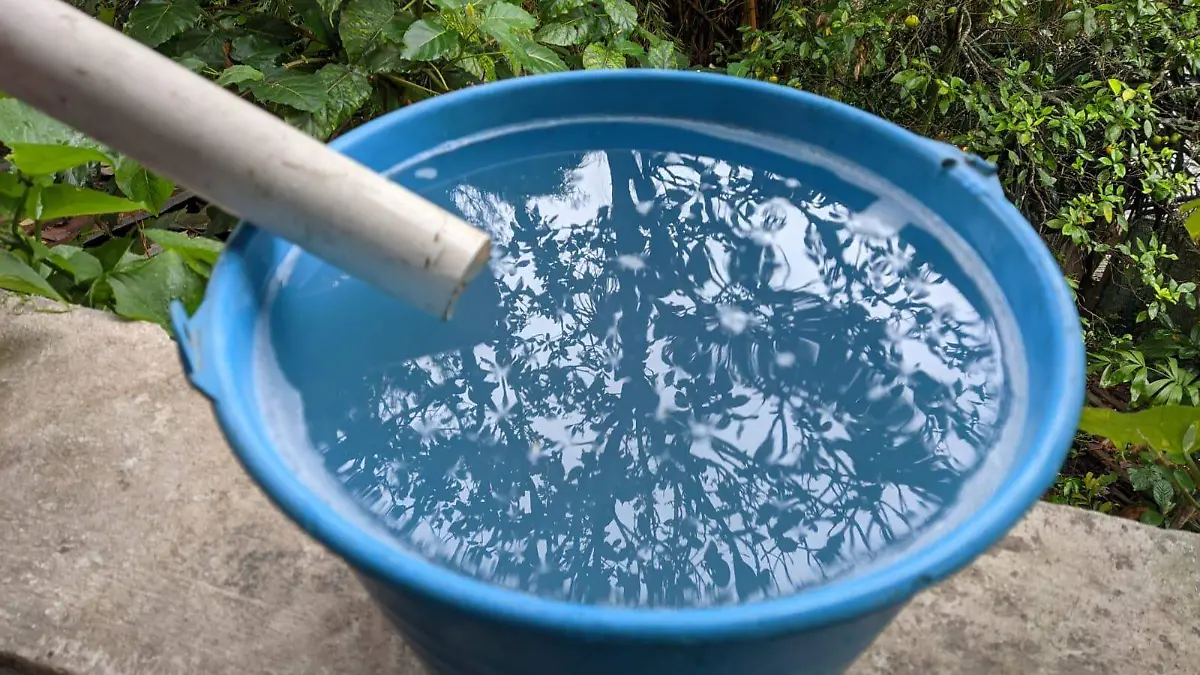 david- Incentivo Verde