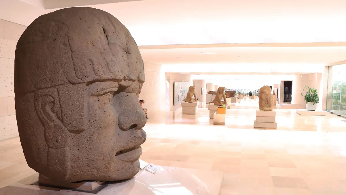 Museo (2)