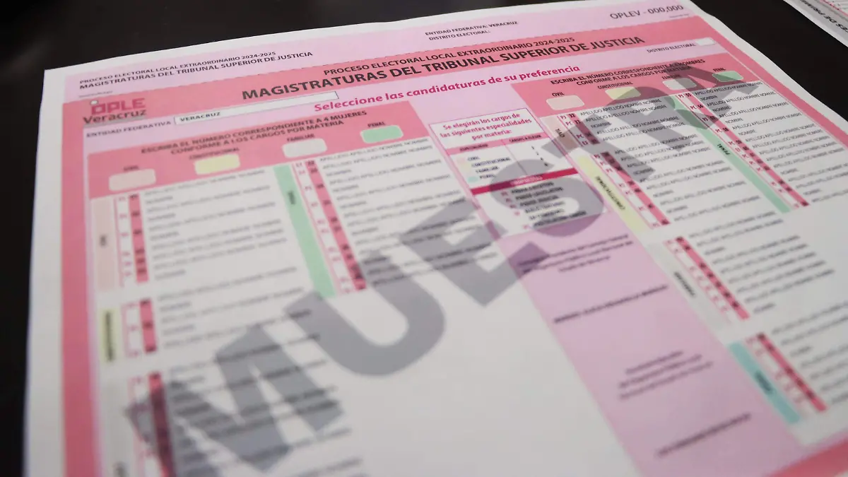 OPLE Eleccion judicial