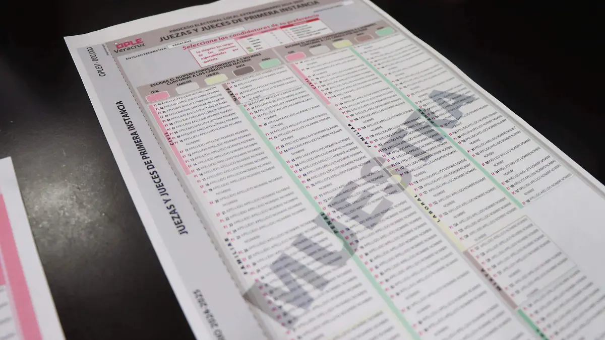 OPLE Eleccion judicial