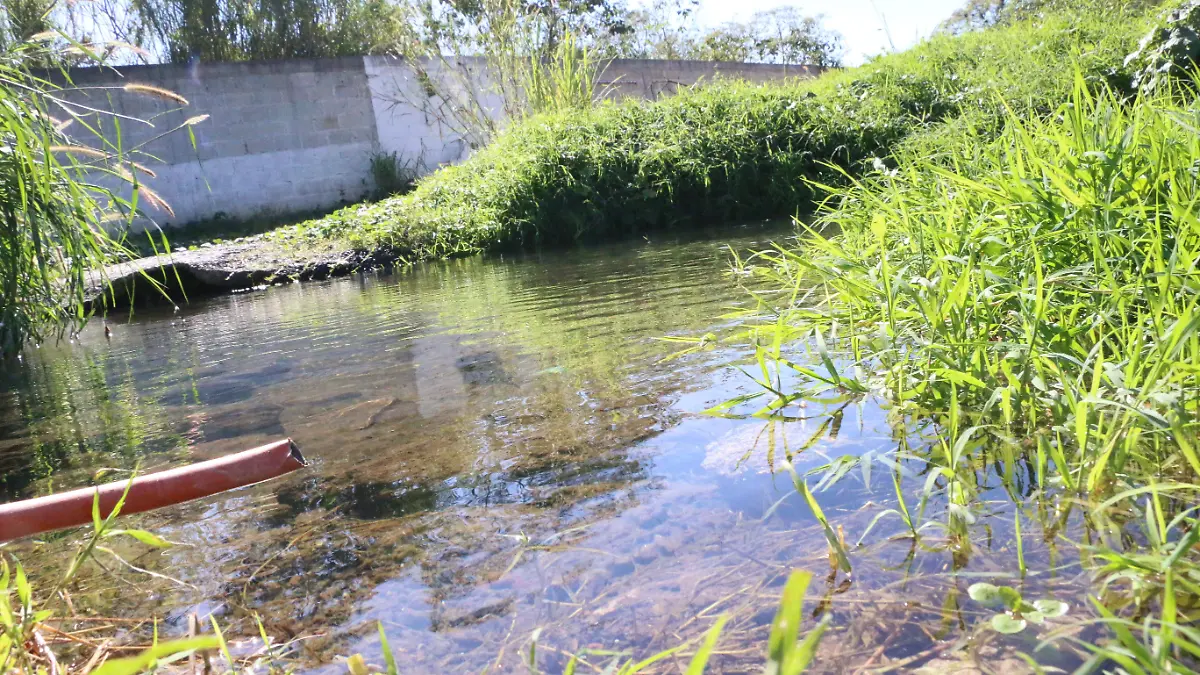 Manantiales | El Castillo