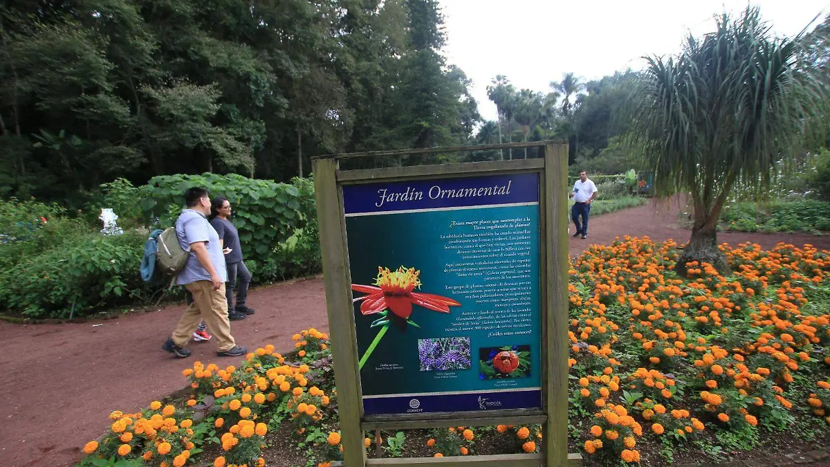 Jardín Botánico 
