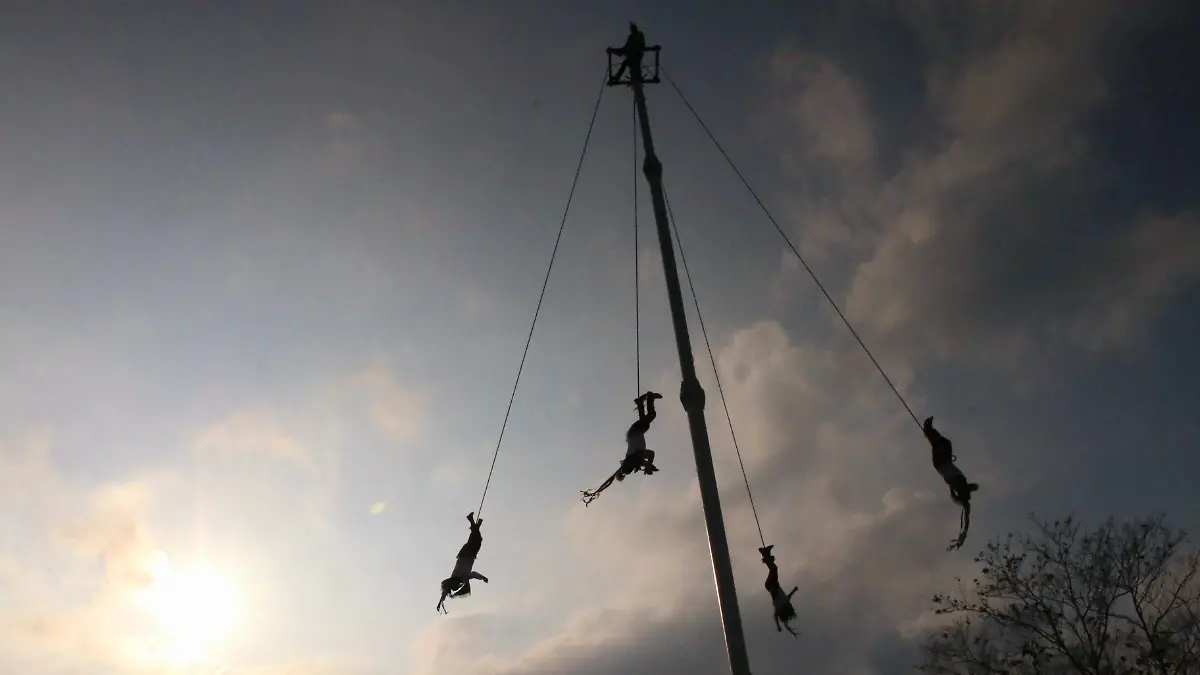 david- Voladores490