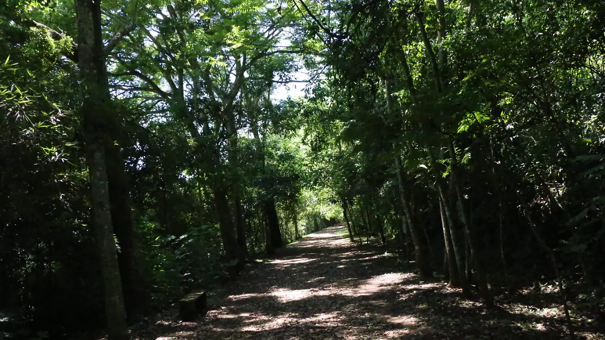 Cerro de Macuiltépetl | ANP