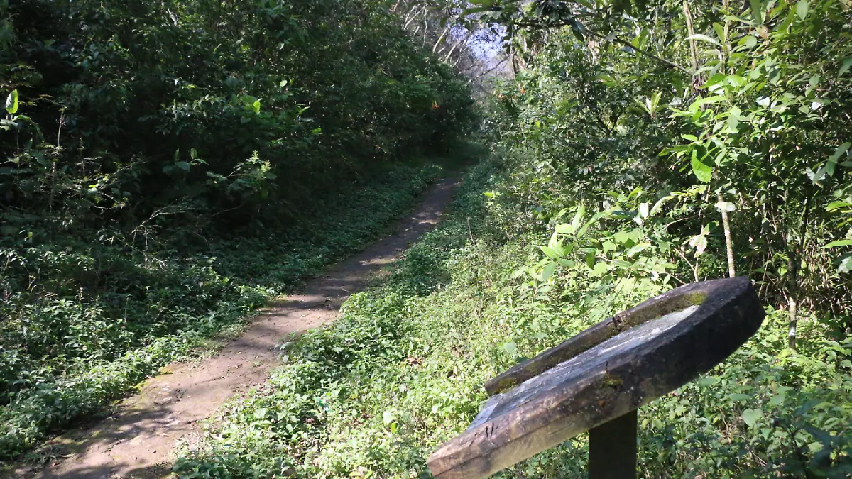 Cerro de la Galaxia | ANP