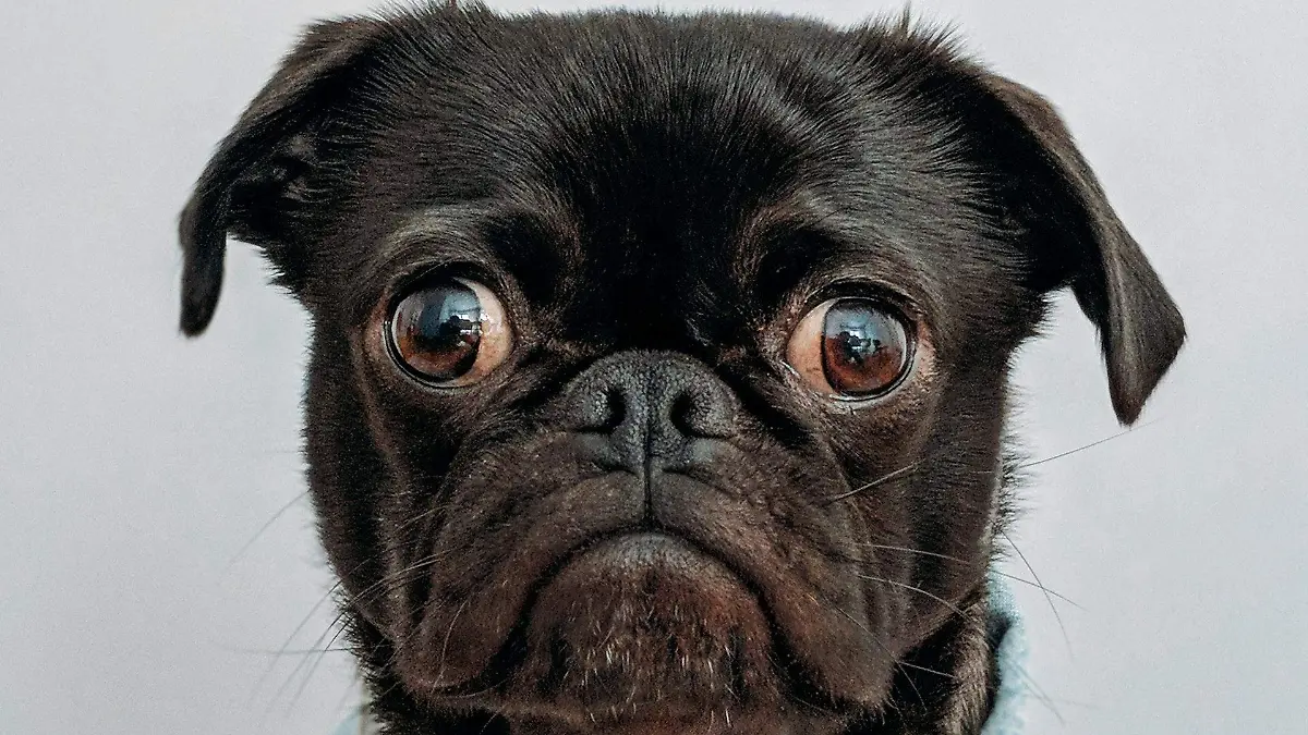 charles-deluvio-K4mSJ7kc0As-unsplash