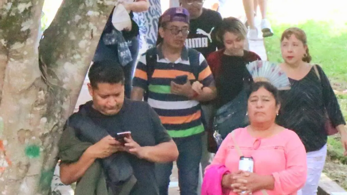 El uso de redes constantes