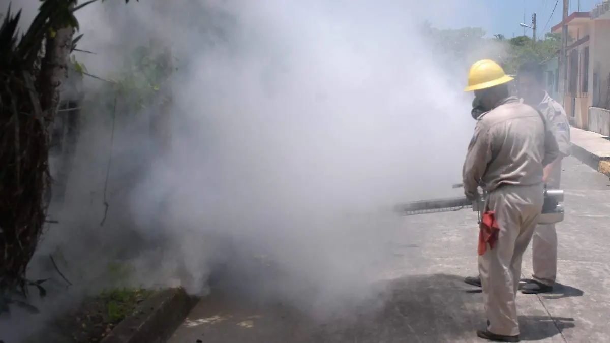 Insecticidas | Fumigación