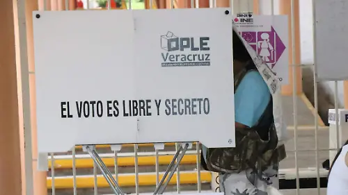 david- Elecciones 4