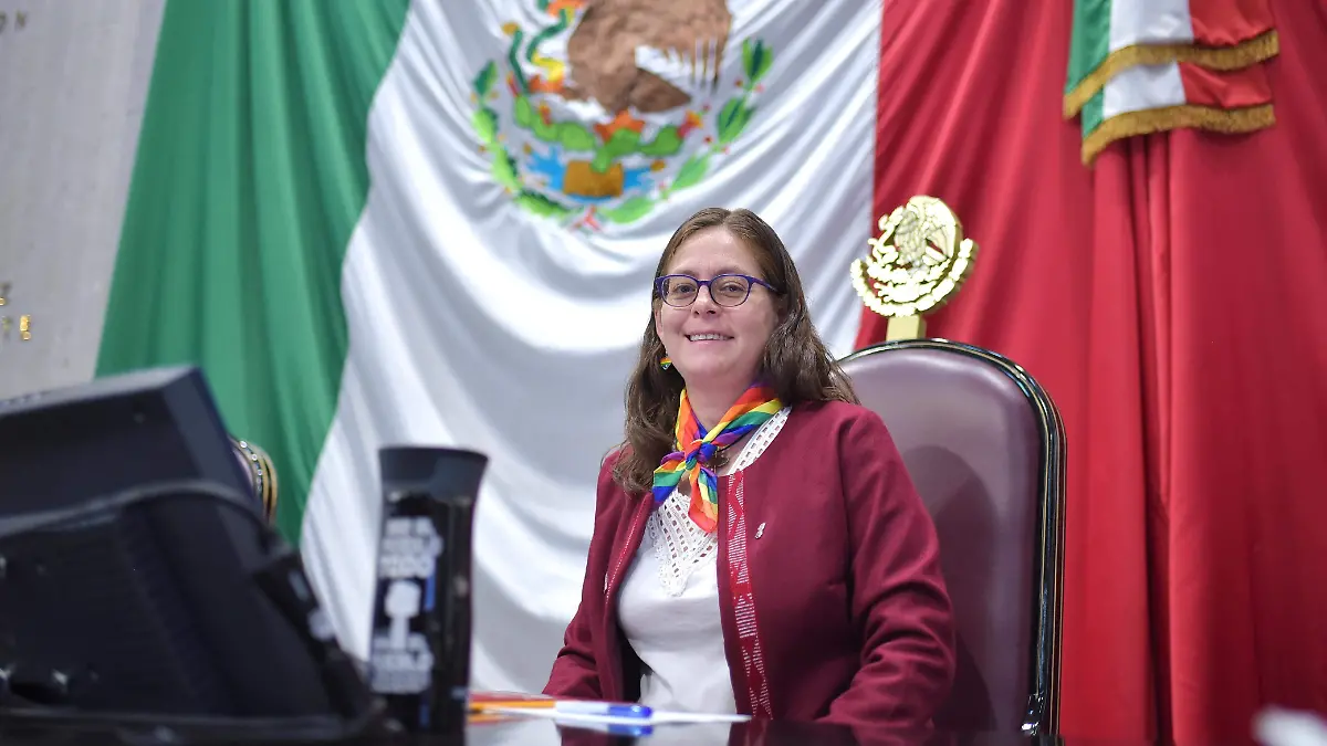 Diputada Tanya Carola Viveros Cházaro