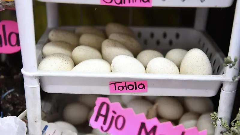 Amuletos para el viernes 13 en mercados de Xalapa