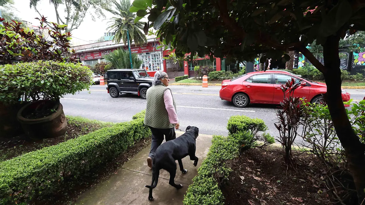 Paseo de Perros (1)