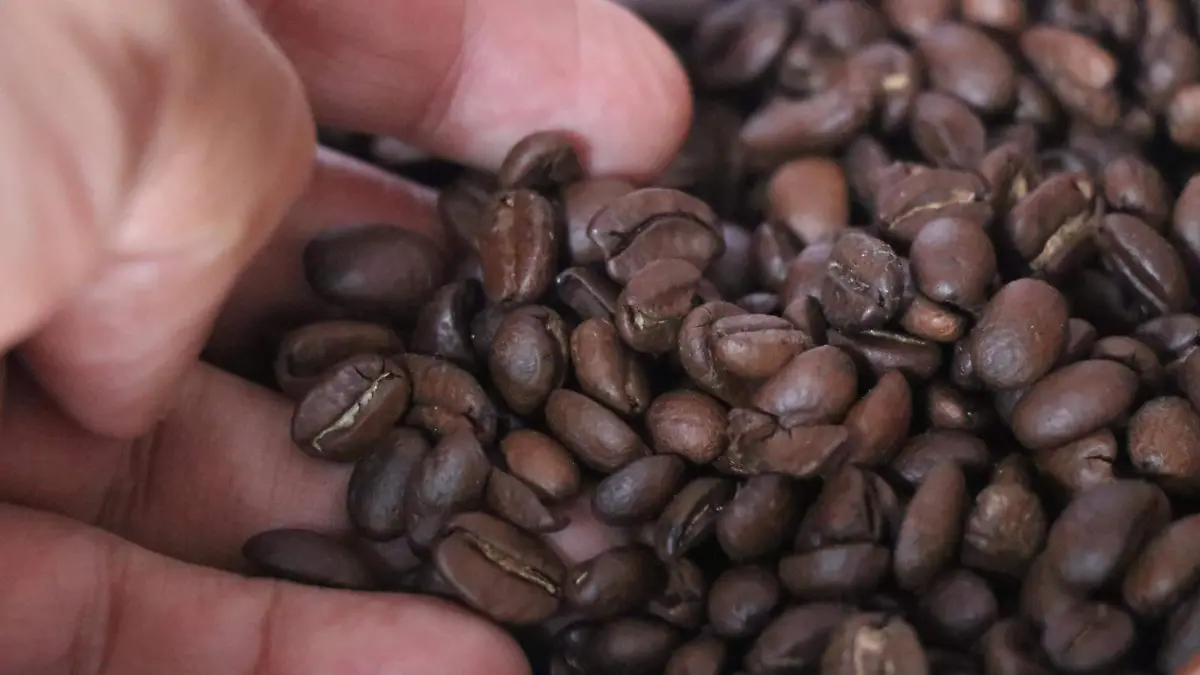 Donación de plantas de café por Grupo Trusot