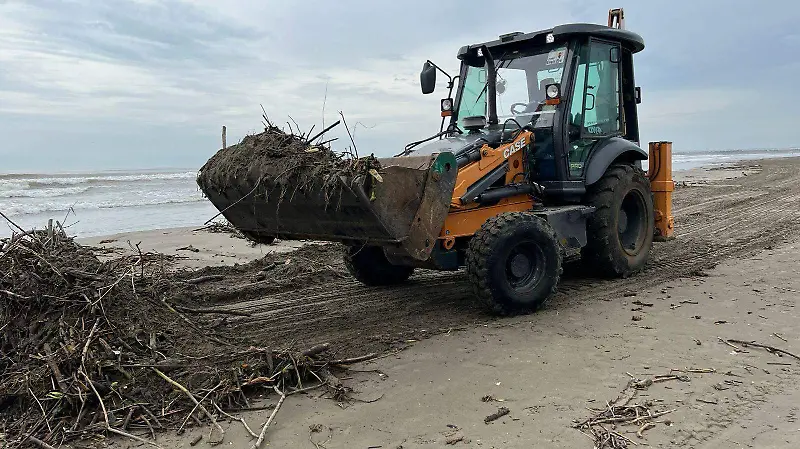 Lluvias provocan arribo de palizada en playas de Boca del Río