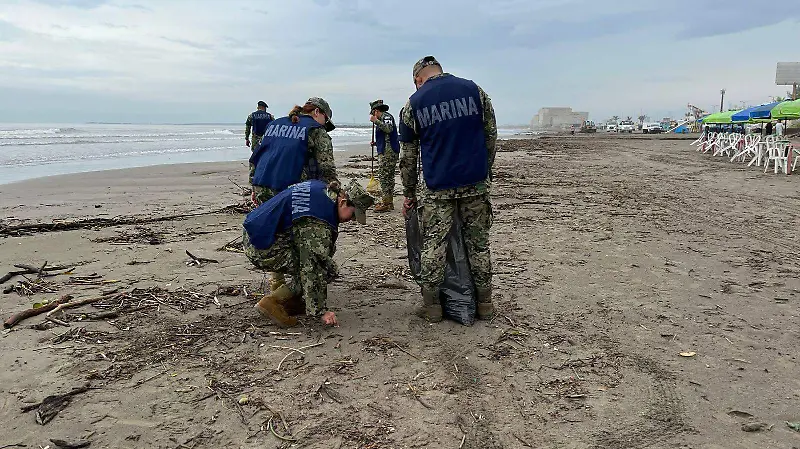Lluvias provocan arribo de palizada en playas de Boca del Río