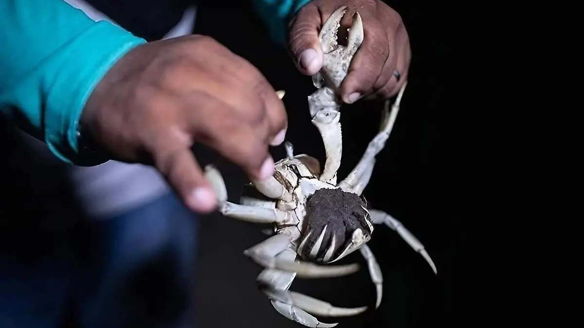 451224811_918002103693874_142661778085584124_n (1)