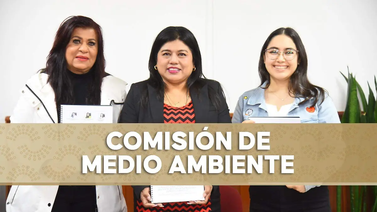 NOV17JUNIO2025CONVOCATORIAAMBIENTE1