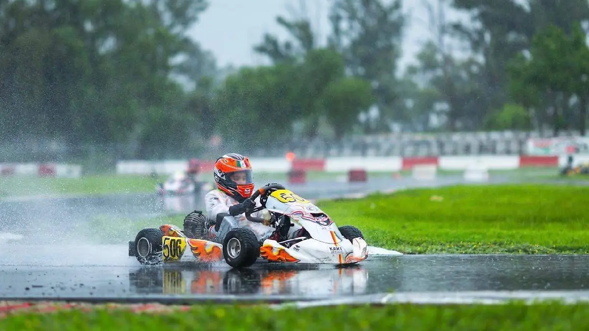 AUTO 3