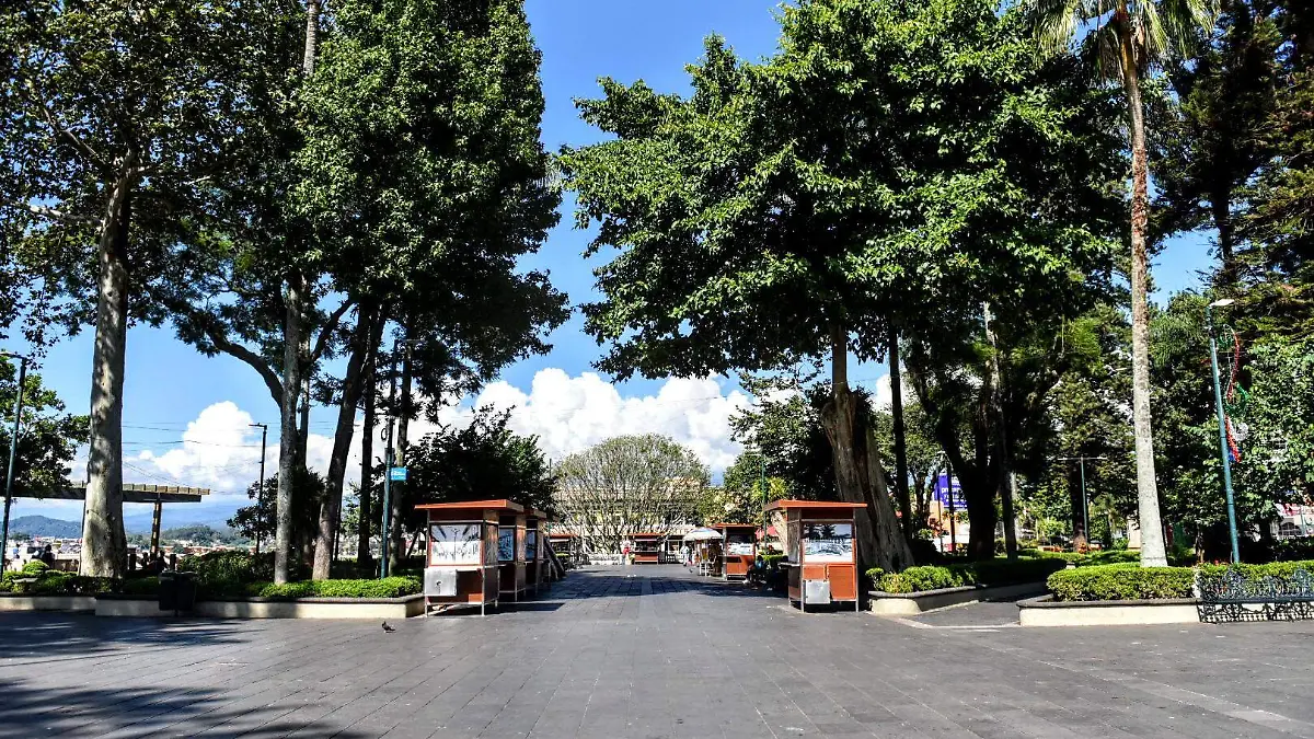 RENE-PARQUE JUAREZ