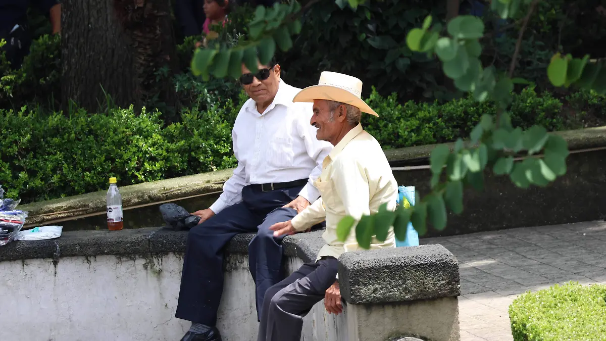 adultos mayores (1)