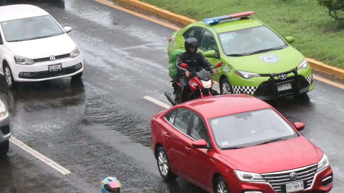 david- Accidentes 44