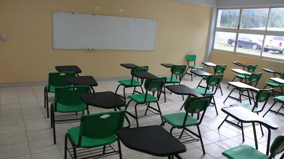 david- Salón ~2